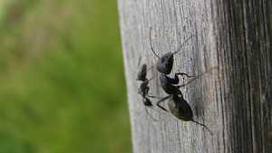 When Your Small Projects Get Noticed